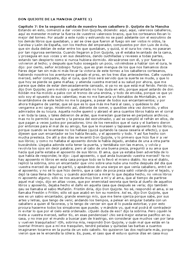 Capitulo 7 Don Quijote Resumen