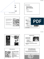 Mentalni Mehanizmi - Anksioznost - PPT (Compatibility Mode)