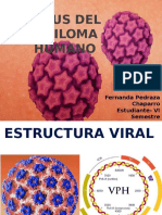 Virus Del Papiloma Humano: Fernanda Pedraza Chaparro Estudiante-VI Semestre Medicina Interna Umng