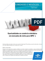 Oportunidades+no+comércio+eletrônico+em+mercados+de+nichos+para+MPE%27s (1)