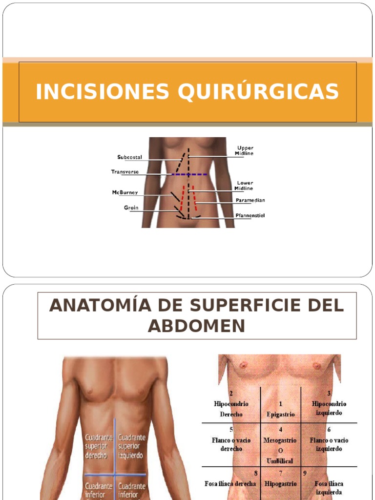 Incisiones Quirúrgicas | PDF