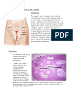 Structure and Function of The Ovaries