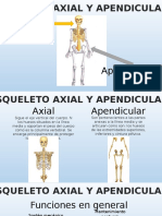 Esqueleto Axial y Apendicular