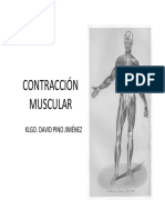 2 Contracción Muscular