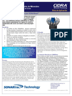 Alimentacion Cyclone PDF