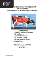 Download MAKALAH SISTEM PENCERNAAN RUMINANSIAdocx by Nabilla Zahera SN349164462 doc pdf