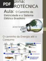 1. Caminho Da Eletricidade e SEB