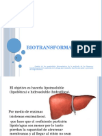 Biotransformación 2016