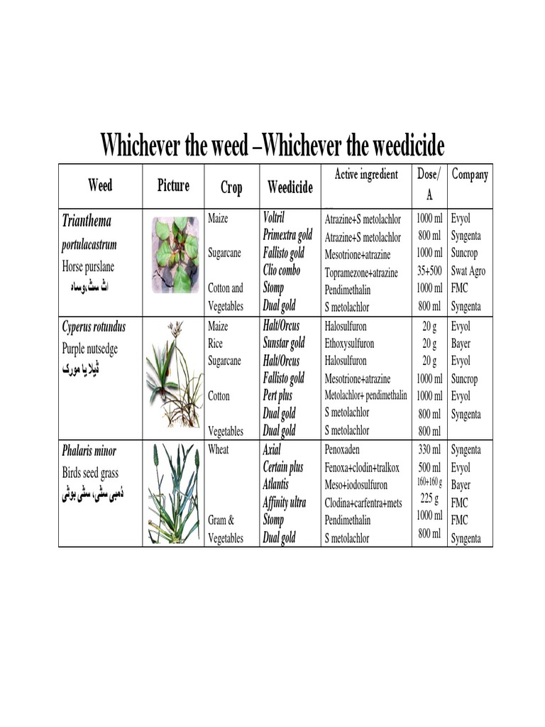 02 Weeds & Weedicides | PDF