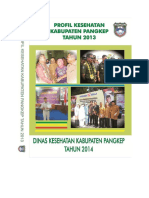 7309 Sulsel Kab Pangkajene Kep 2013 PDF