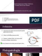 Desprendimiento de Retina (DR)