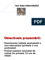 190_examinarea_nn.ppt