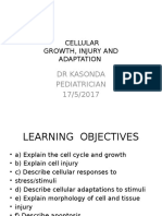 Cellular Growth 2