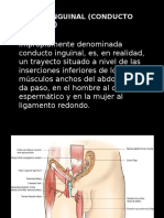 Regininguinalconductoinguinal 140128174357 Phpapp01