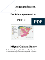 Areas Fitogeograficas en ESPAÑA