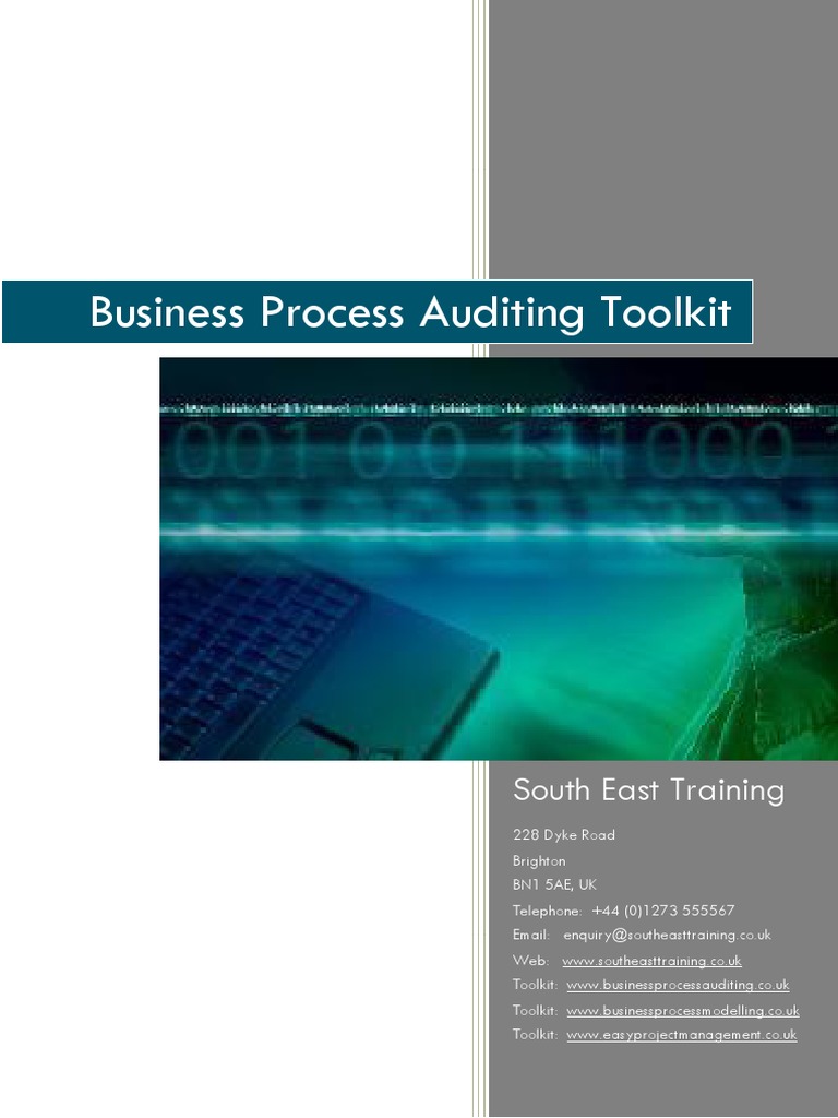 Bus Process Audit Toolkit V1.2.pdf Auditor's Report Audit
