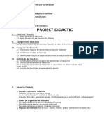 Proiect Didactic