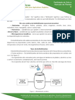 Biofertilizantes: nutrientes vitais para plantas