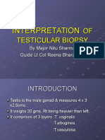 Interpretation of Testicular Biopsy1