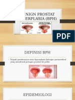 Benign Prostat Hiperplasia (BPH)