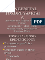 K27 B Congenital Toxoplasmosis KBK