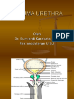 Trauma Urethra