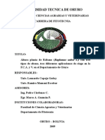 Altura de Rabano Con Diferentes Dosis