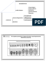 coprologico.pdf