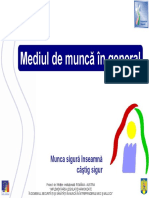 Mediul de Muncă În General