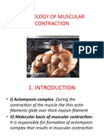 Physiology of Muscular Contraction