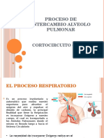 Proceso de Intercambio Alveolo Pulmonar