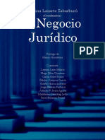 Derecho Civil Acto Jurddco