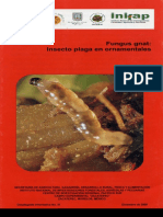 FUNGUSGNAT.pdf