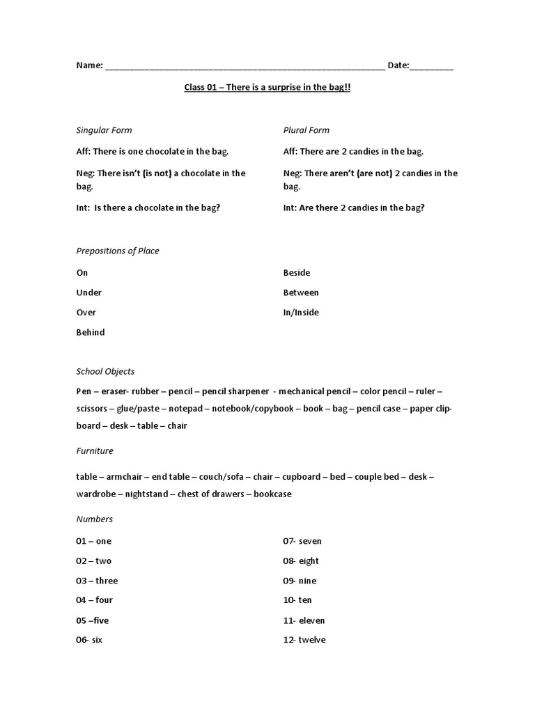 Class 01 There Is A Surprise in The Bag!! Singular Form Plural Form