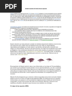 Darwin Resumen de Teoría de Las Especies