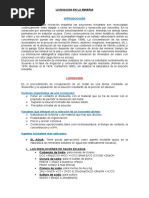 LIXIVIACION EN LA MINERIA.docx