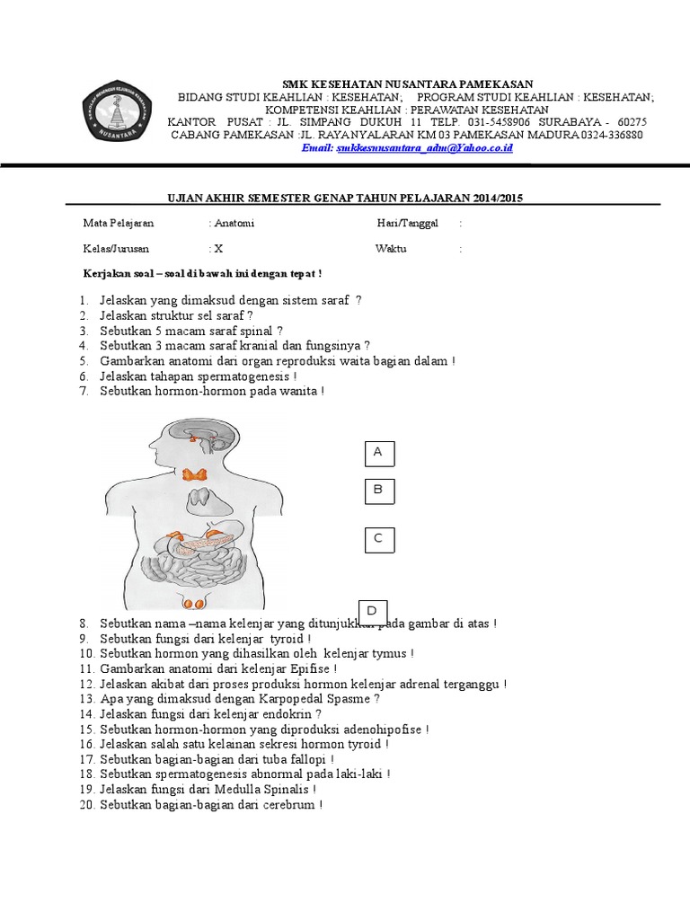 Soal Uas Anatomi Kelas X 2016 2017
