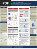 Megacommuting in the US