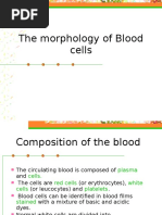 The Morphology of Blood Cells