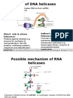 Role of DNA Helicases: Direct Role in Stress Tolerance: Indirect Role in Stress Tolerance