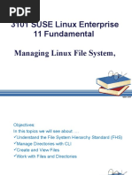 03-Managing The Linux File System