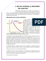 Actividades de las enzimas y velocidad de reacción.docx