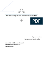 Proiect Managementul Sistemelor Informatice: Coporan Ana-Maria Constantinescu Cosmin-Andrei