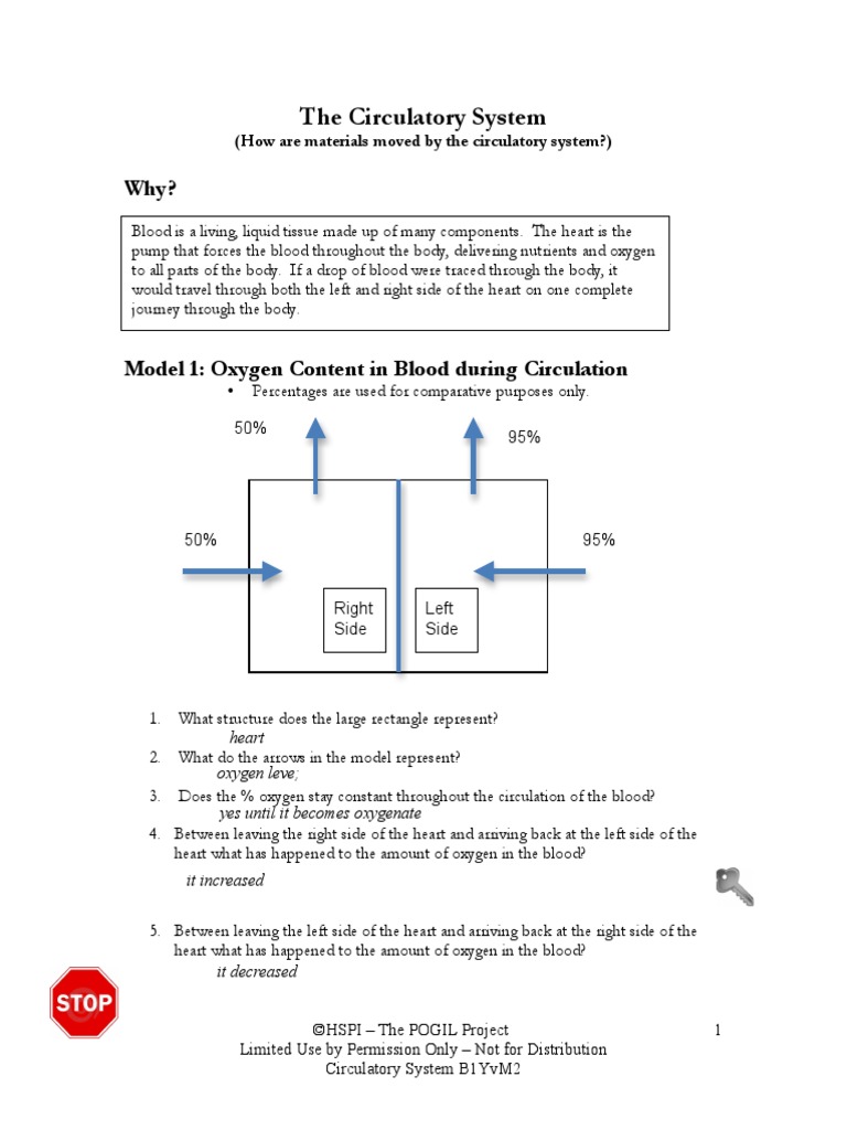 Circulatory POGIL Student 17 | Circulatory System | Blood