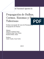 Noveno Informe de Practicas de Principios de Propagación de Plantas