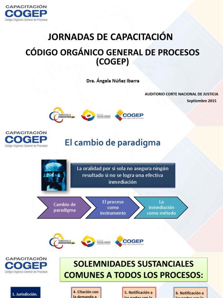 4 Curso Cogep El Cambio De Paradigma Pdf Demanda Judicial Ley