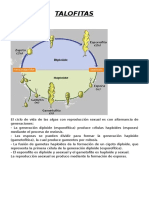 Ciclos de vida de algas: alternancia de generaciones y reproducción sexual