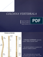 Coloana Vertebrala