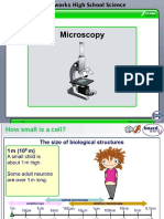 Grade 12 Microscopy.