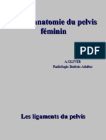 Radio Anatomie Du Pelvis Féminin AO 2012FILEminimizer